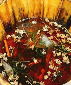 Thảo Mộc Ngâm Chân Mộc Tâm - Ảnh 6