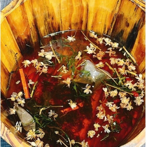 Thảo Mộc Ngâm Chân Mộc Tâm - Ảnh 6