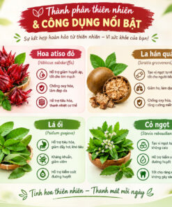 Trà Atiso La Hán Mộc Tâm - Ảnh 3