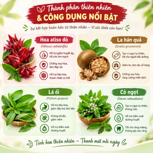 Trà Atiso La Hán Mộc Tâm - Ảnh 3