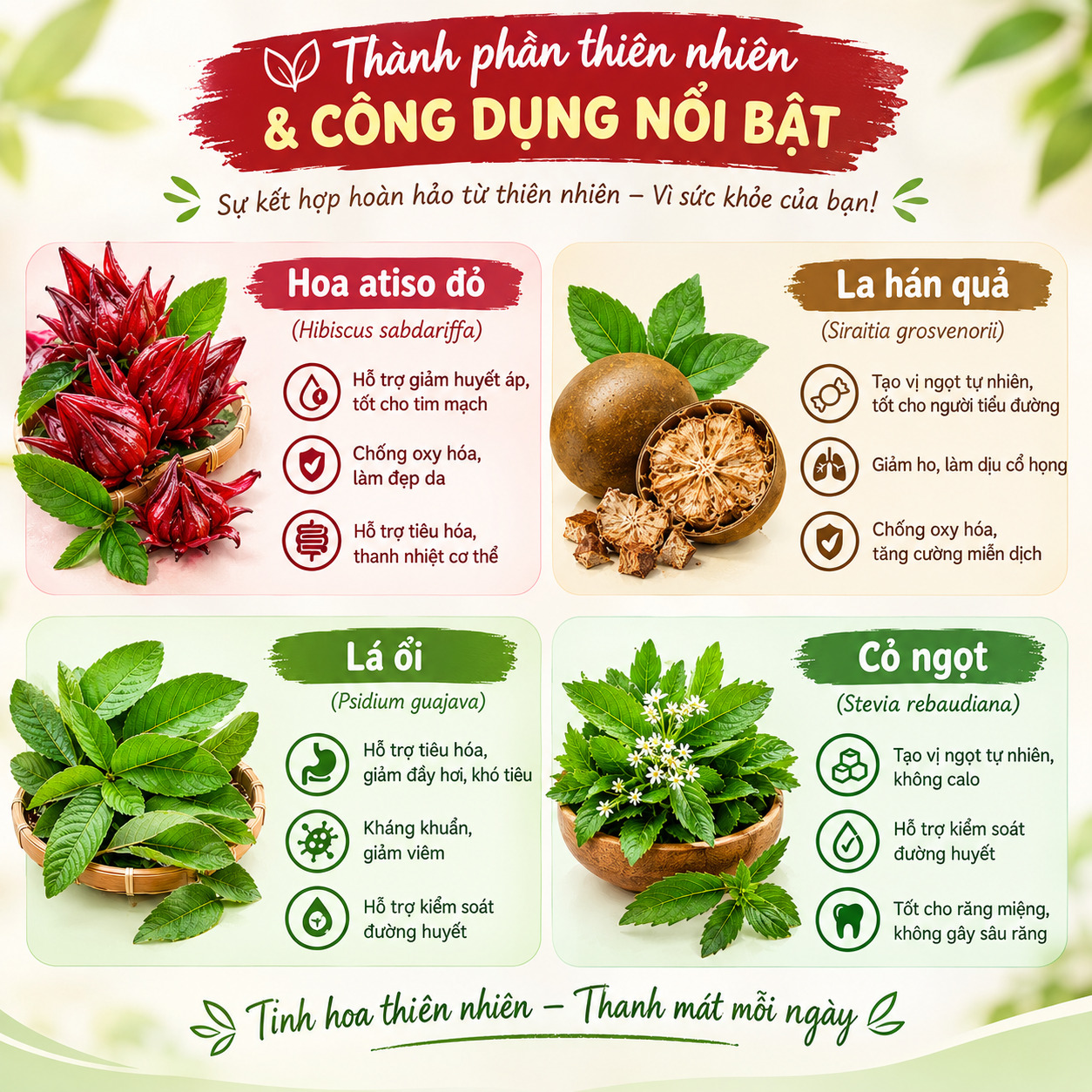 Trà Atiso La Hán Mộc Tâm - Ảnh 3