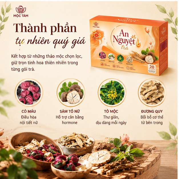 An Nguyệt Trà Mộc Tâm - Ảnh 3