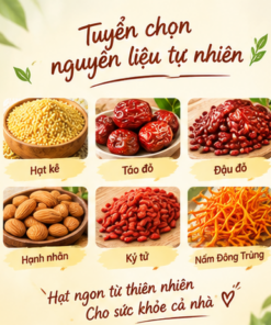 Bột Hạt Kê Táo Đỏ Nấm Đông Trùng Mộc Tâm - Ảnh 3