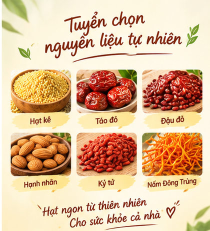 Bột Hạt Kê Táo Đỏ Nấm Đông Trùng Mộc Tâm - Ảnh 3